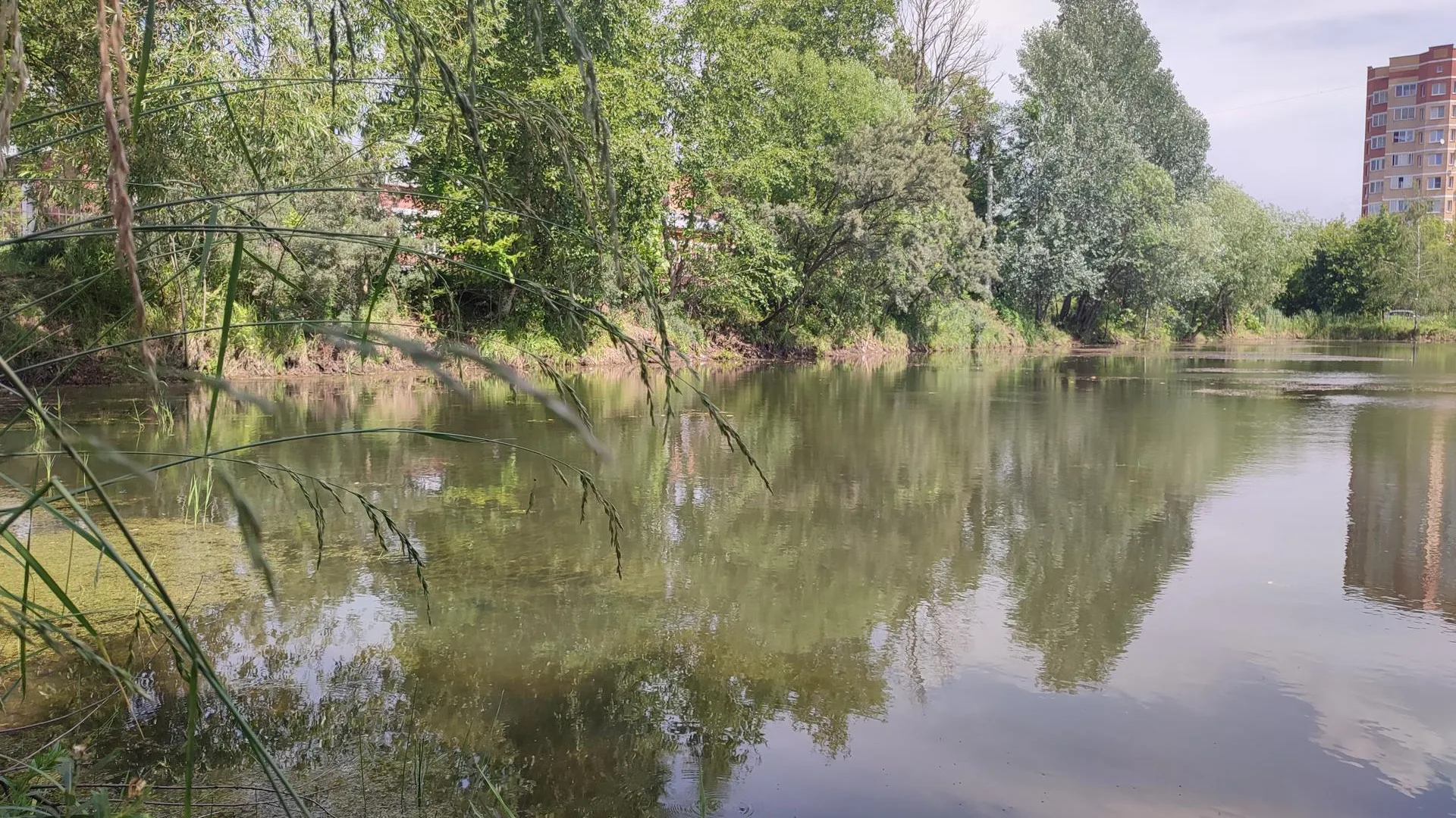 пресс-служба губернатора и правительства Московской области