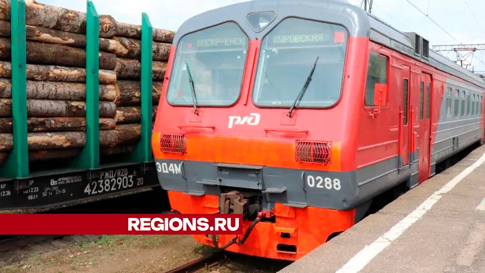 Фото: REGIONS/Василий Тремасов