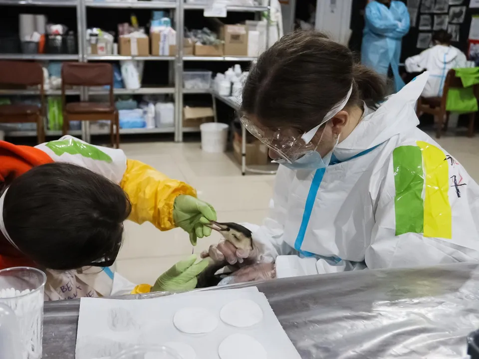 Фото: Владислав Пивоваров