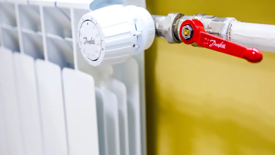 Фото: пресс-служба администрации г.о. Кашира