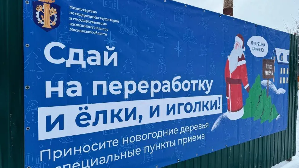 Фото: Комитет лесного хозяйства  Московской области