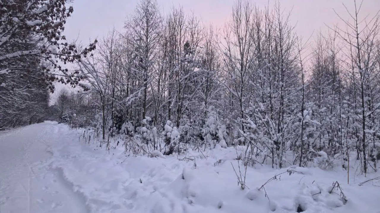 Фото: REGIONS/Ольга Ковалева