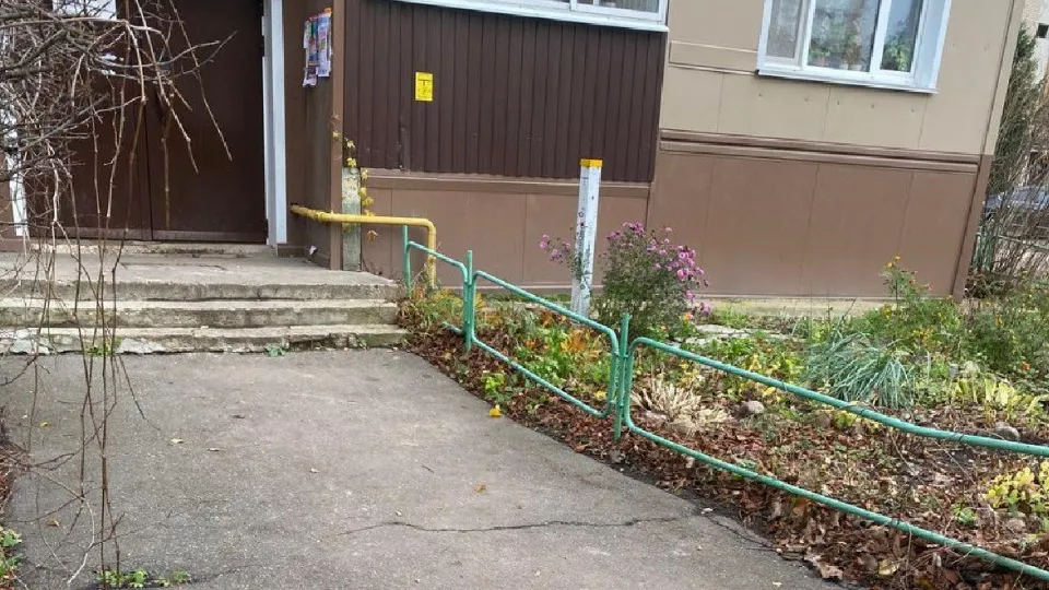 Фото: пресс-служба администрации г.о. Лосино-Петровский