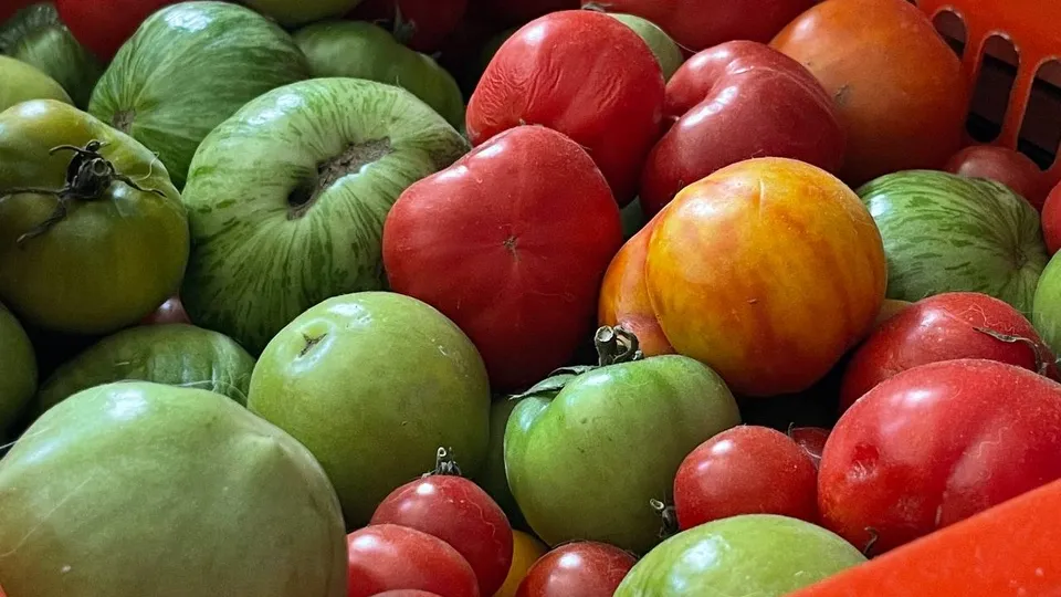 Фото: Юлия Петрова