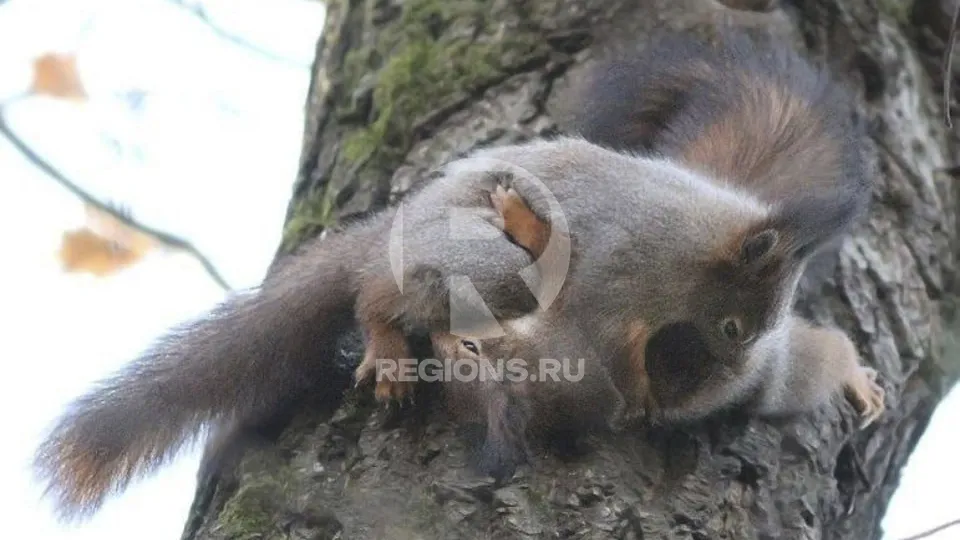 Фото: личный архив Михаила Крюкова