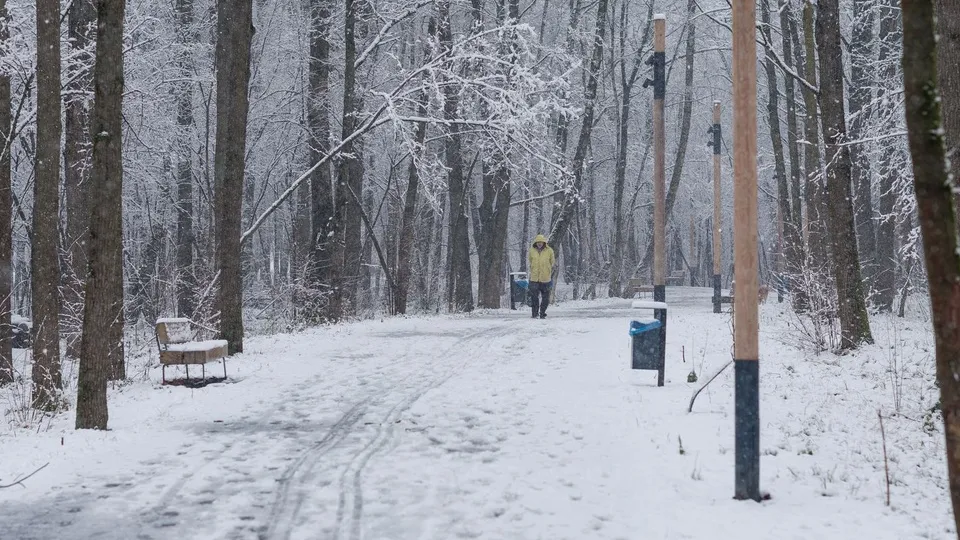 Фото: медиасток.рф