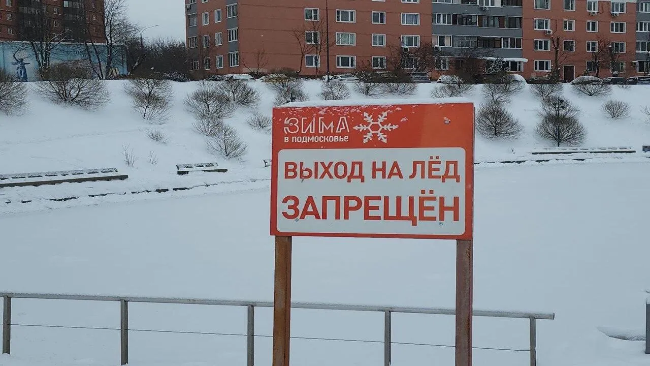 МедиаБанк Подмосковья/Мария Амелина