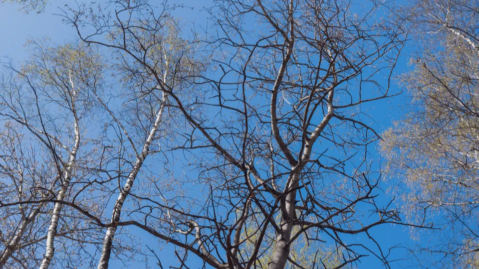 Фото: REGIONS/Наталия Надточая