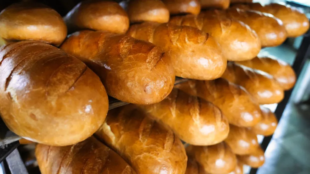 Фото: МедиаБанк Подмосковья/Дмитрий Зайчиков