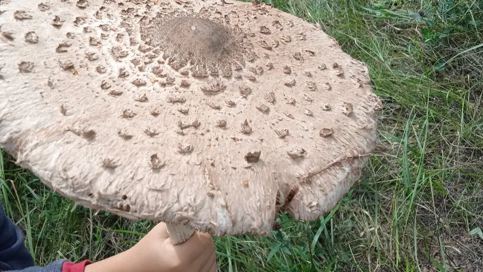 Фото: REGIONS/Юлия Куделькина