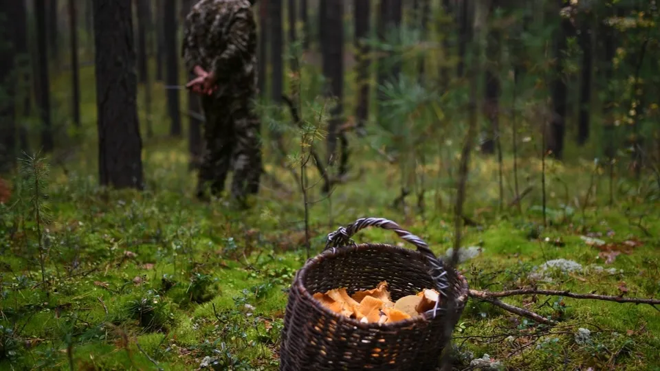 Фото: РИА Новости/Александр Кряжев