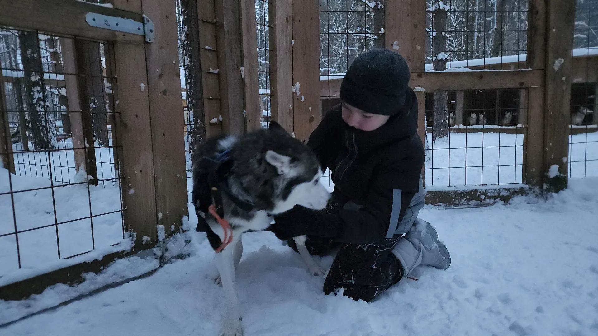 Андрей Семибратов