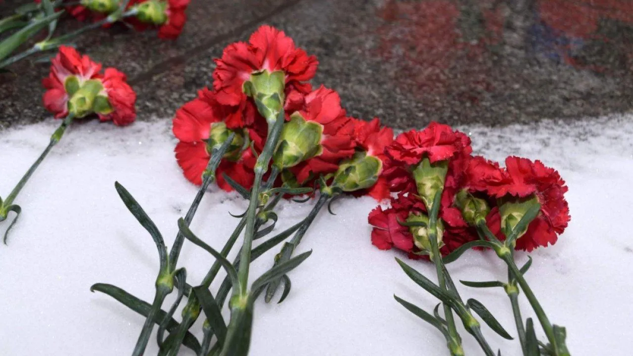 REGIONS/Наталья Дорофеева