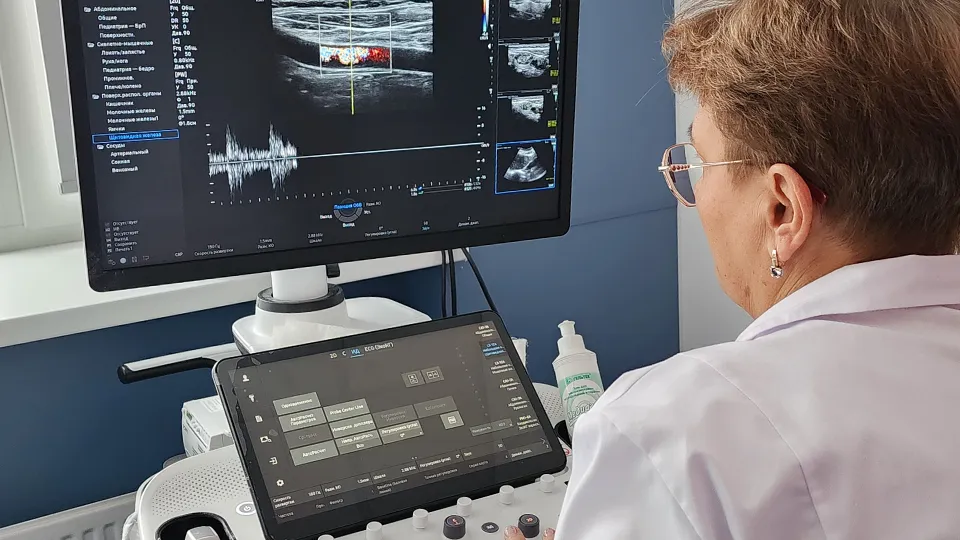 Фото: МедиаБанк Подмосковья/Валентина Максимов