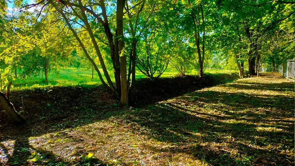 Фото: vk.com/Заповедное Даровое