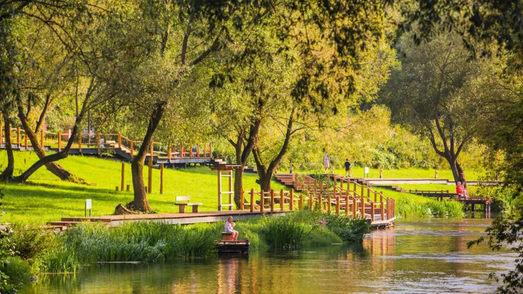 Фото: Министерство благоустройства Московской области