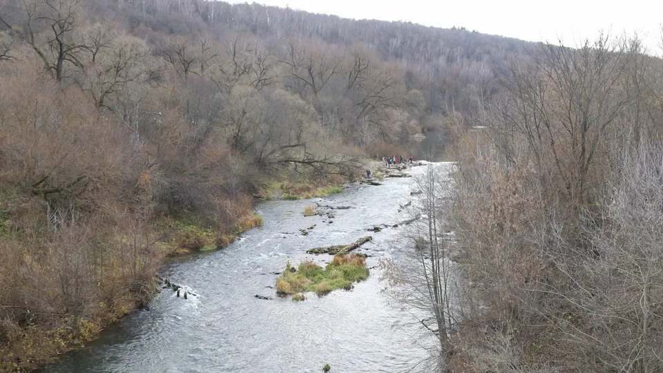 Фото: REGIONS/Александр Дрожжин