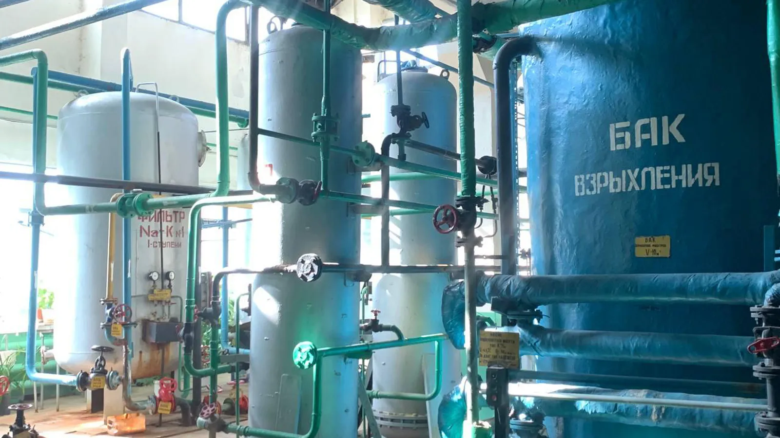 Фото: Медиабанк Подмосковья/Екатерина Елисеева