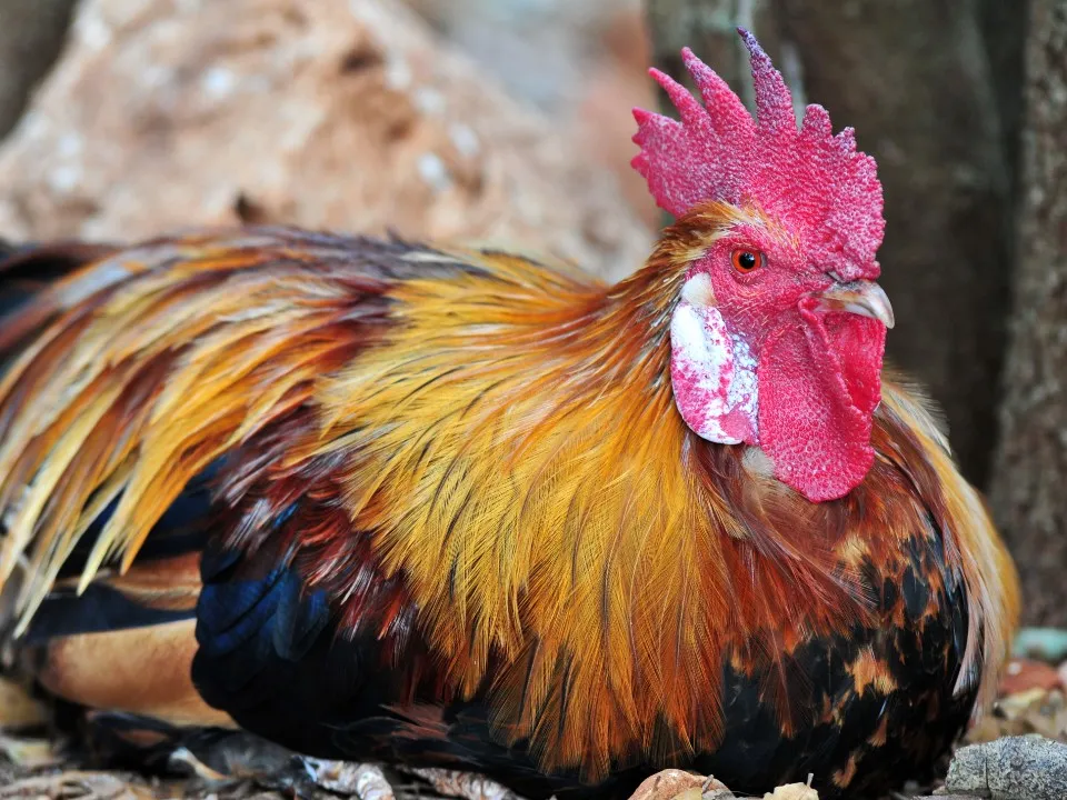 Фото: freepik.com