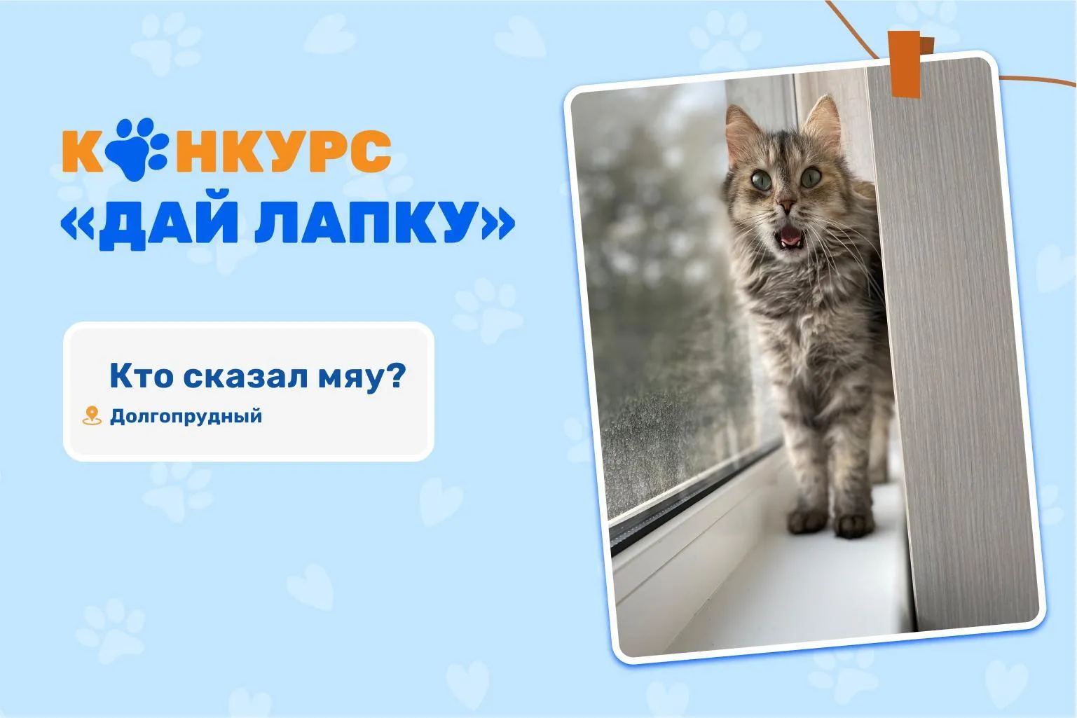 МосОблЕИРЦ