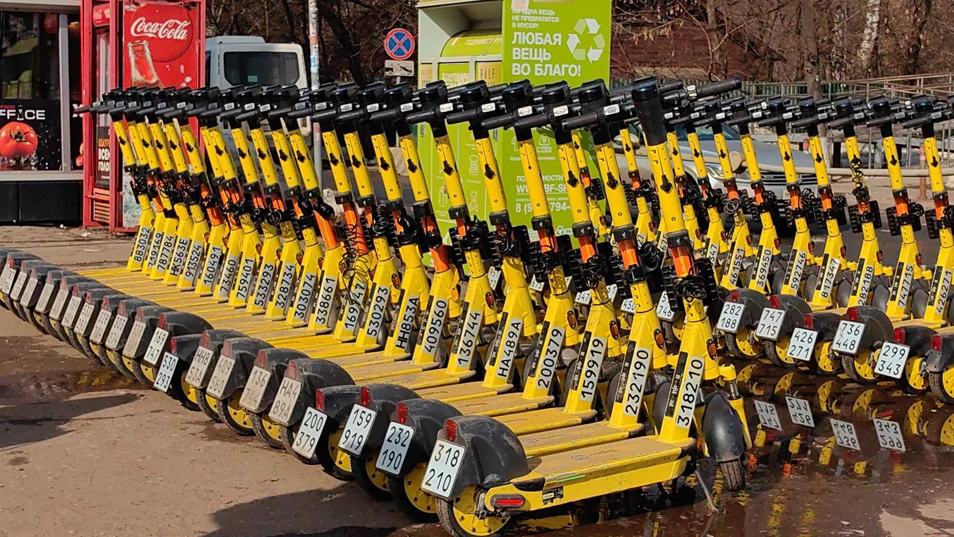 Елена Катасонова