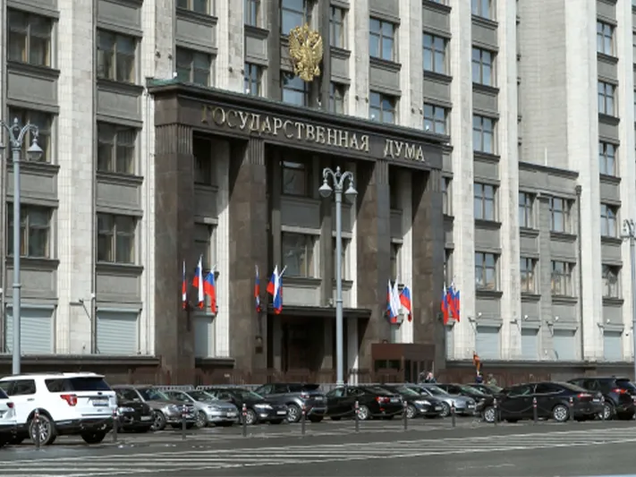 Депутат ГД рассказала, как защищают сознание подростков от негативного влияния