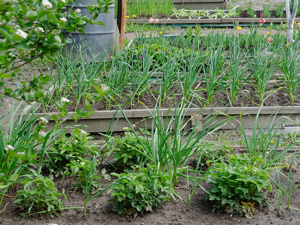 Фото: istockphoto.com