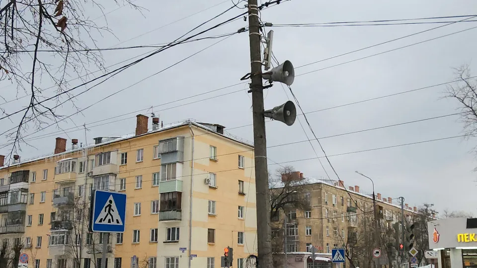 Фото: МедиаБанк Подмосковья/Дмитрий Павлов