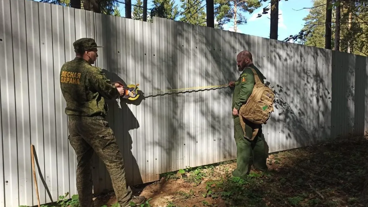 Комитет лесного хозяйства МО