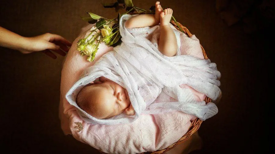 Министерство социального развития Подмосковья