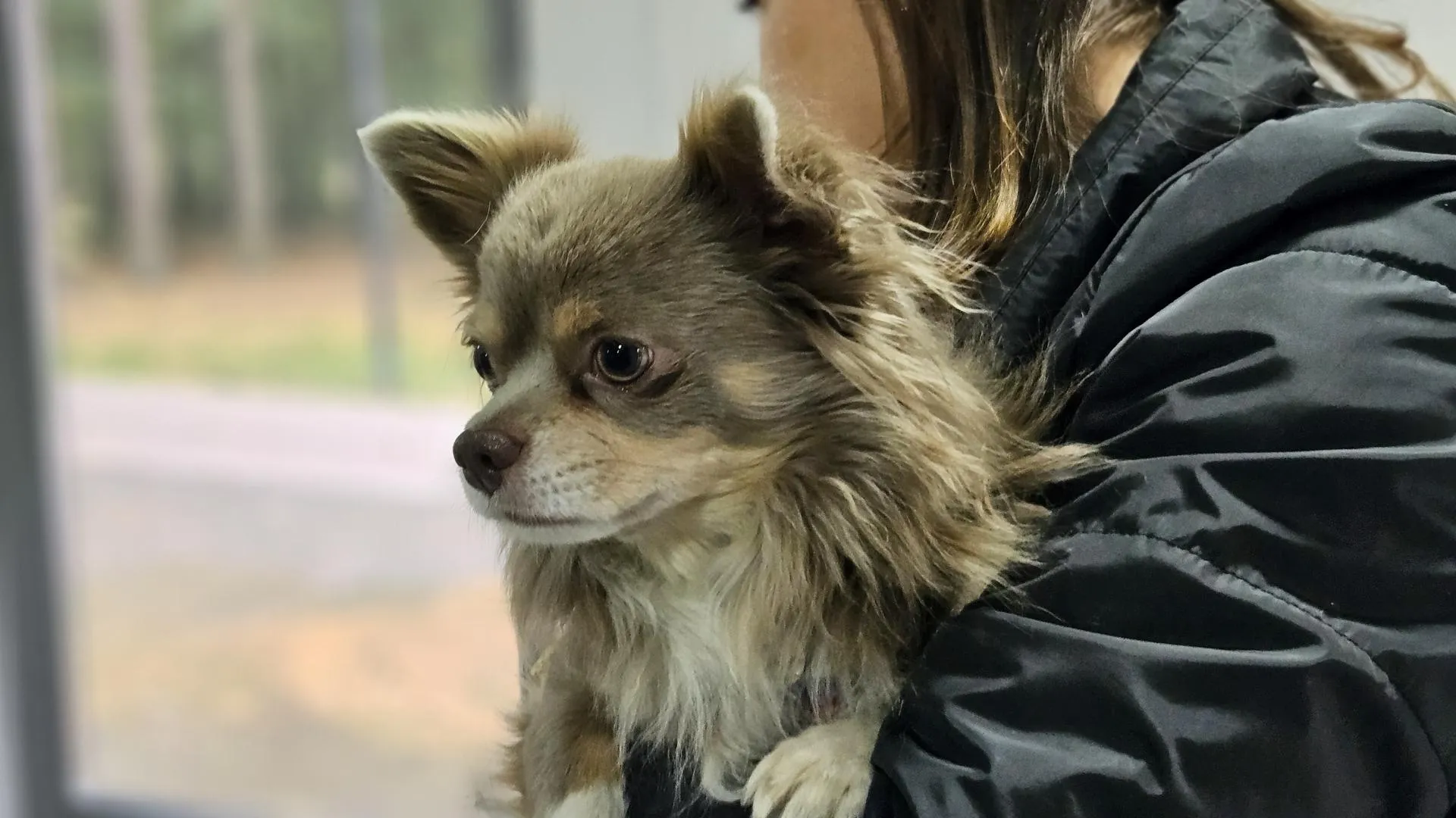 МедиаБанк Подмосковья/Ольга Вельшикаева