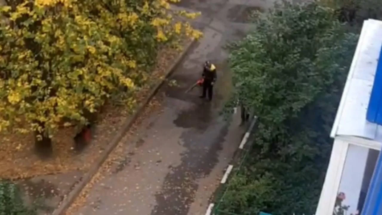 фото: соцсети