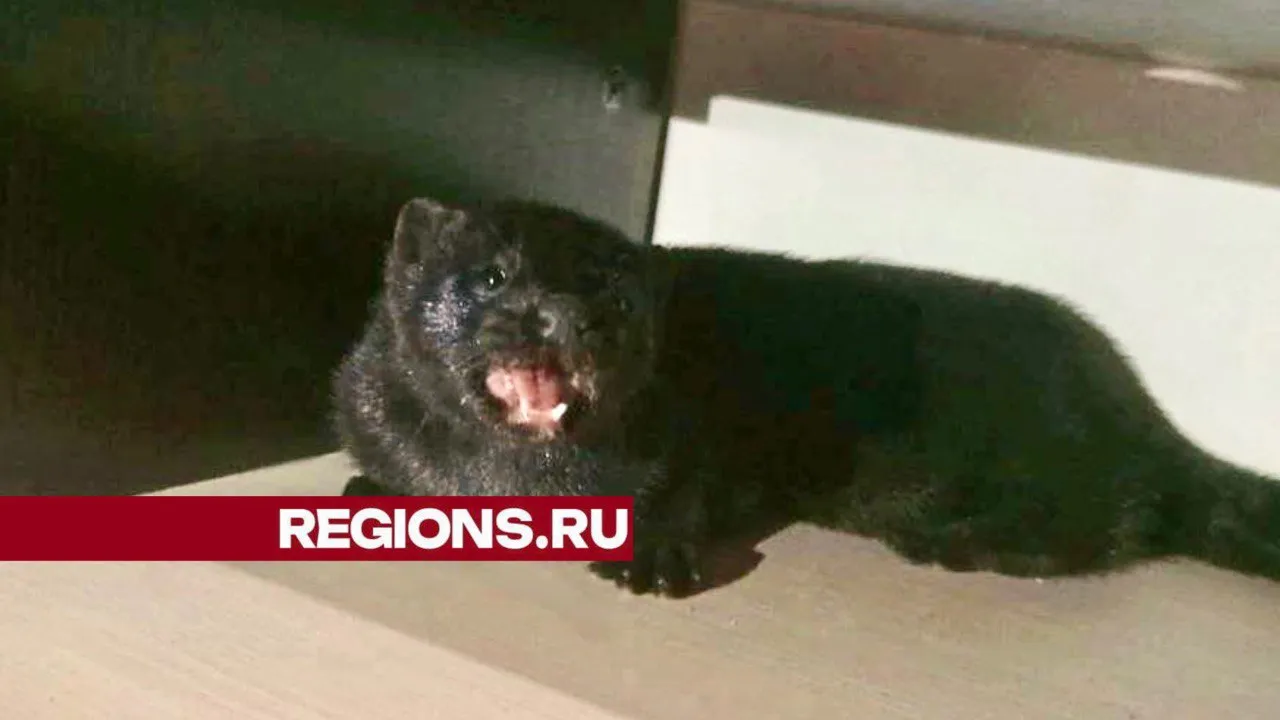 Фото: личный архив Ларисы Львовой