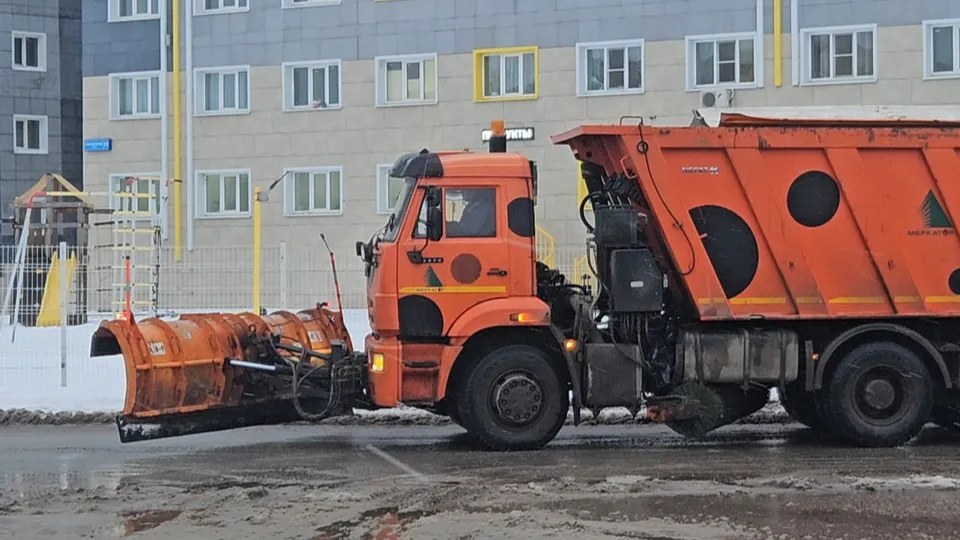 Фото: МедиаБанк Подмосковья/Ольга Вельшикаева