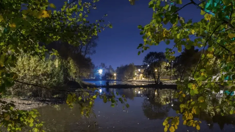 Фото: Министерство благоустройства Московской области