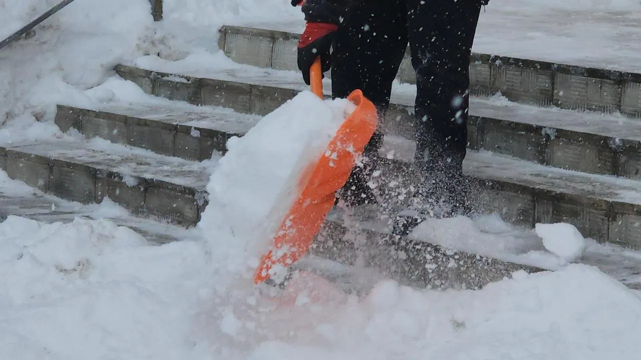 REGIONS/Кристина Ларина