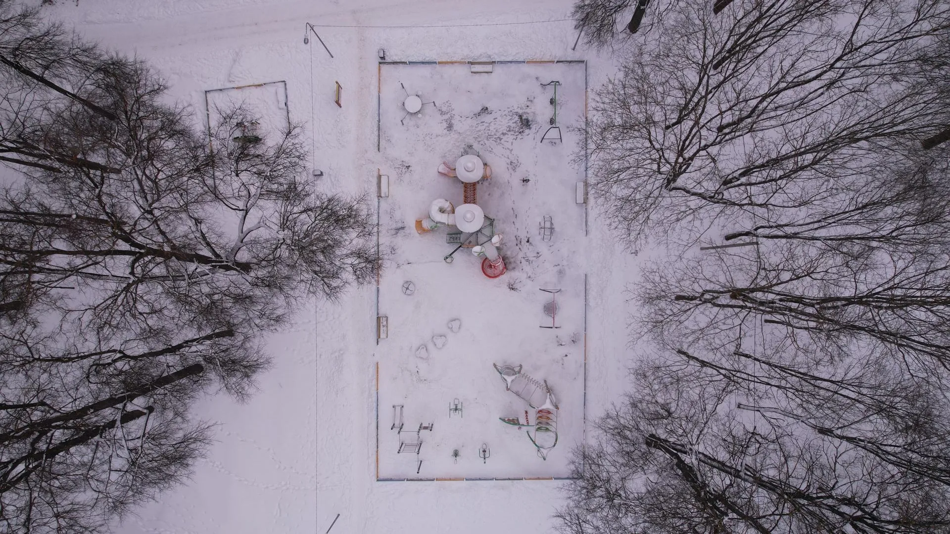 Ксения Борцова