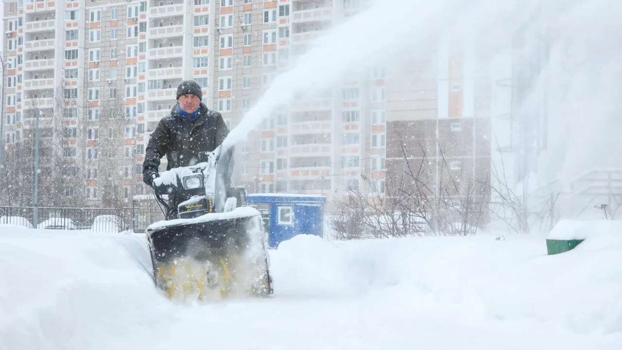 REGIONS/Мария Андрюхина