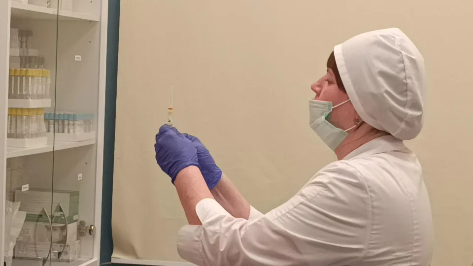 Фото: МедиаБанк Подмосковья/Екатерина Федосеева