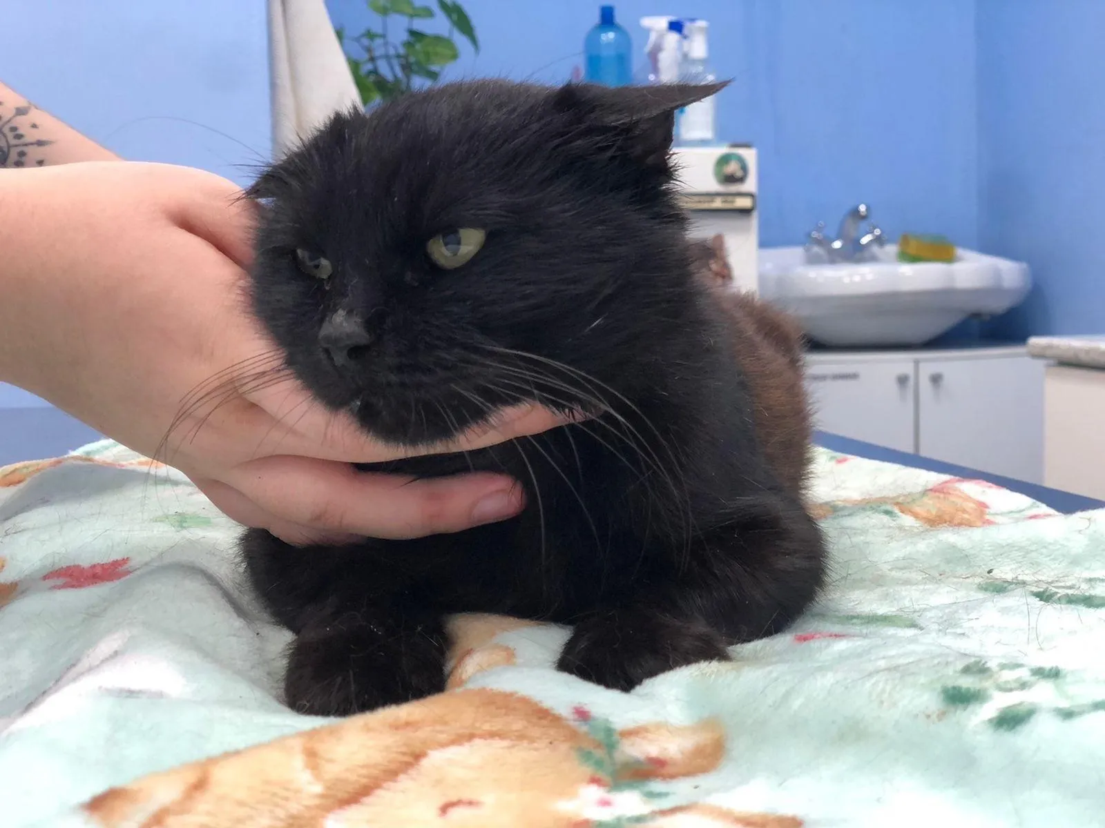 Фото: Татьяна М. / ВКонтакте