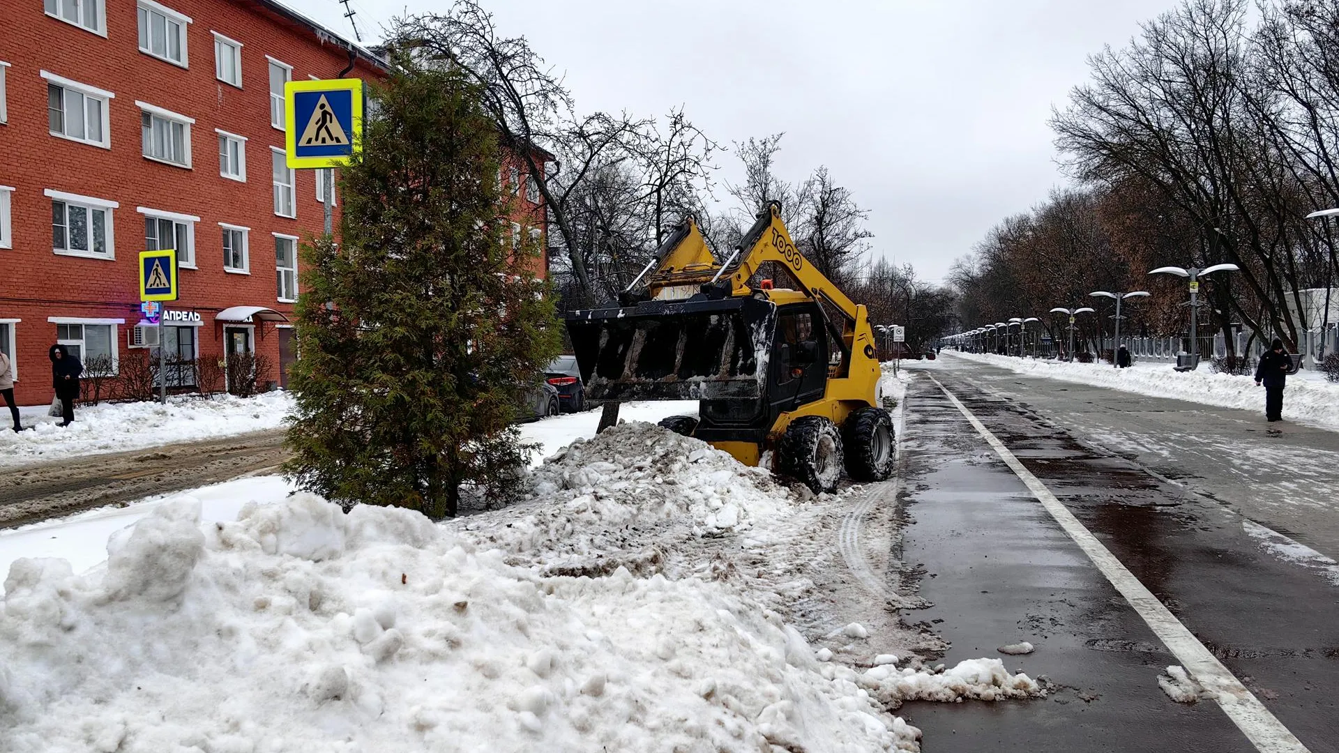 Елена Катасонова