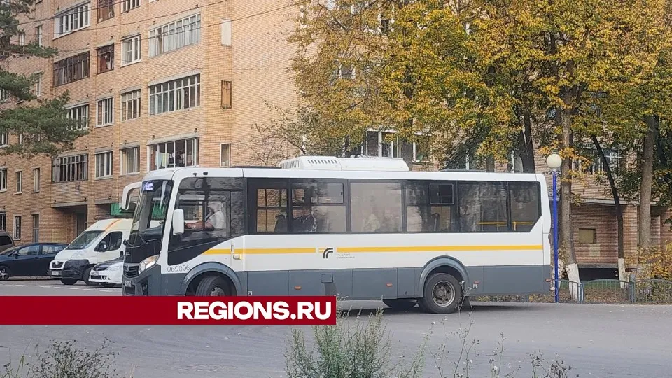 Фото: Хавива Фонина