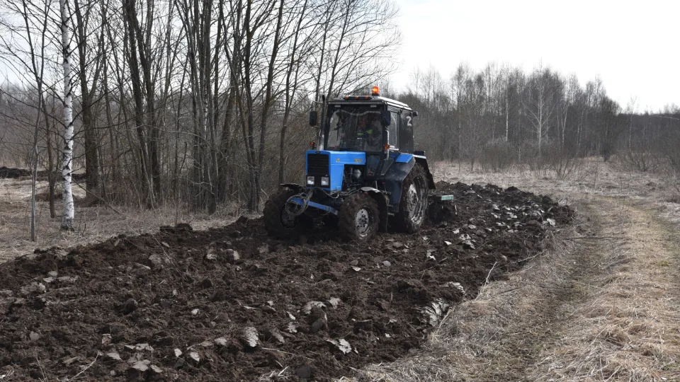 Фото: МедиаБанк Подмосковья/Владимир Останин