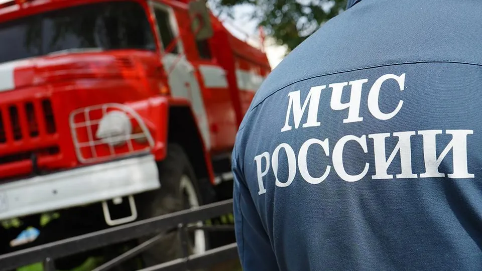 Стихия не отступает: площадь пожара в лесах под Ростовом после падения БПЛА ВСУ продолжает увеличиваться