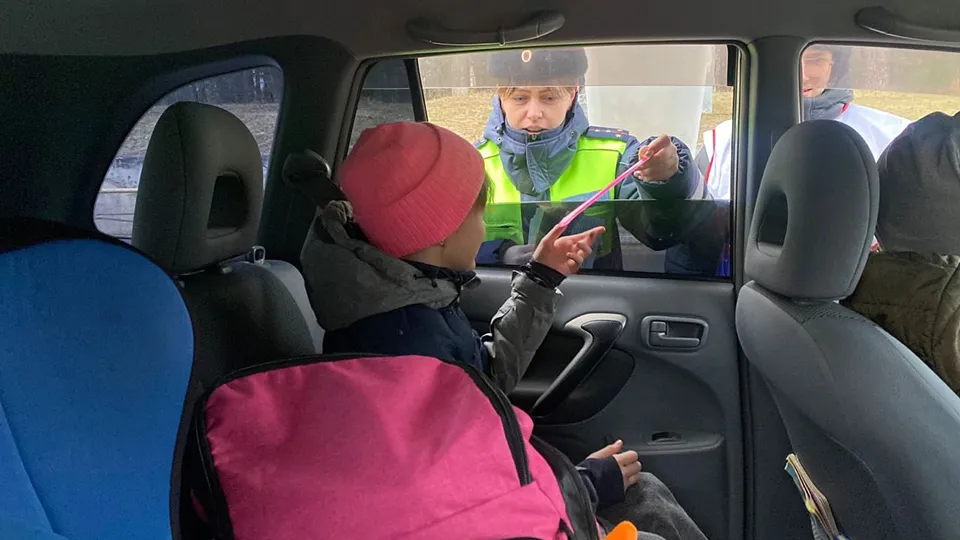 Фото: Госавтоинспекция МУ МВД России «Серпуховское»