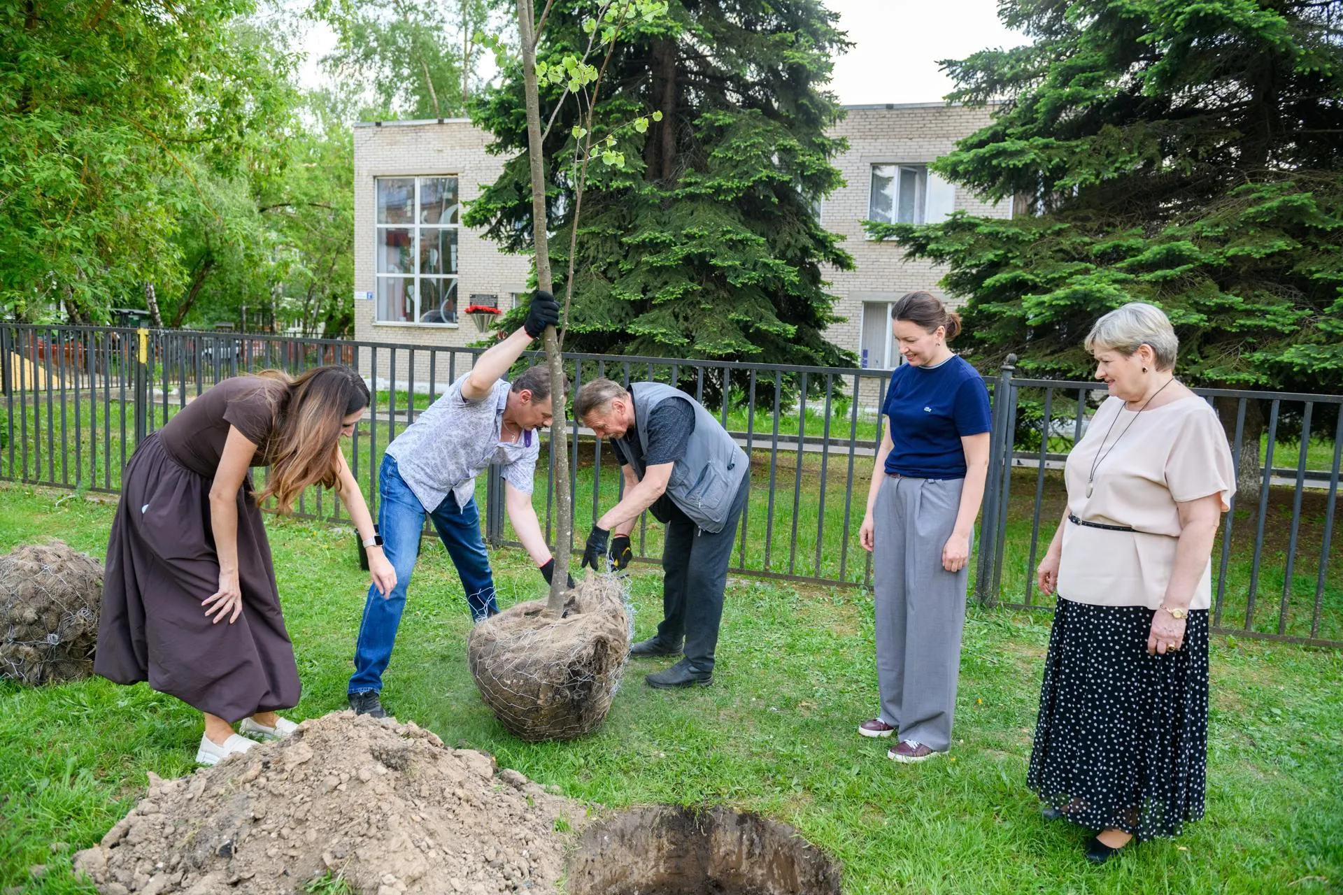 Картинка