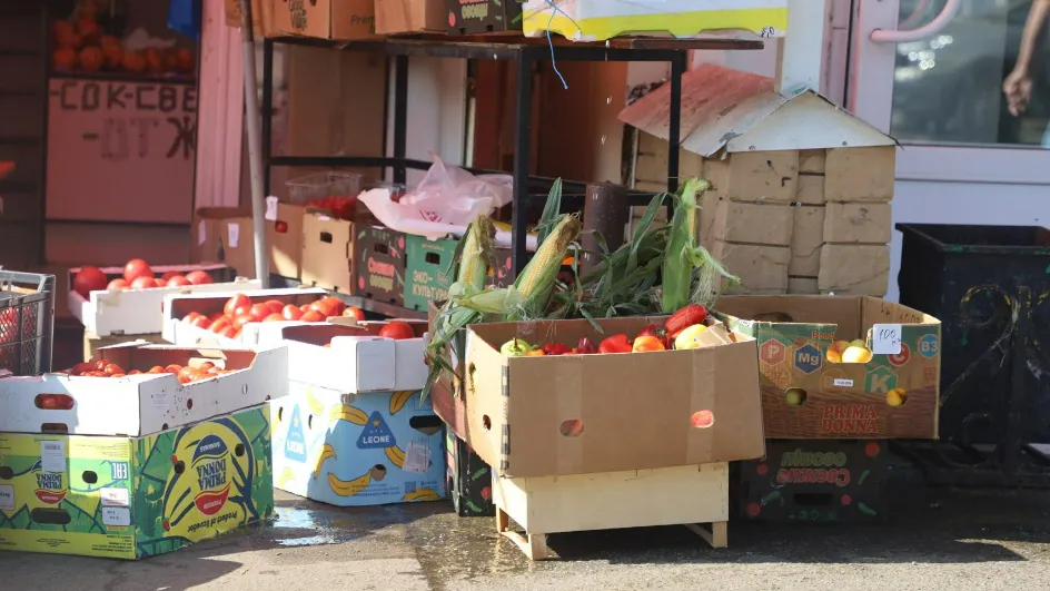 Фото: Минсельхозпрод МО