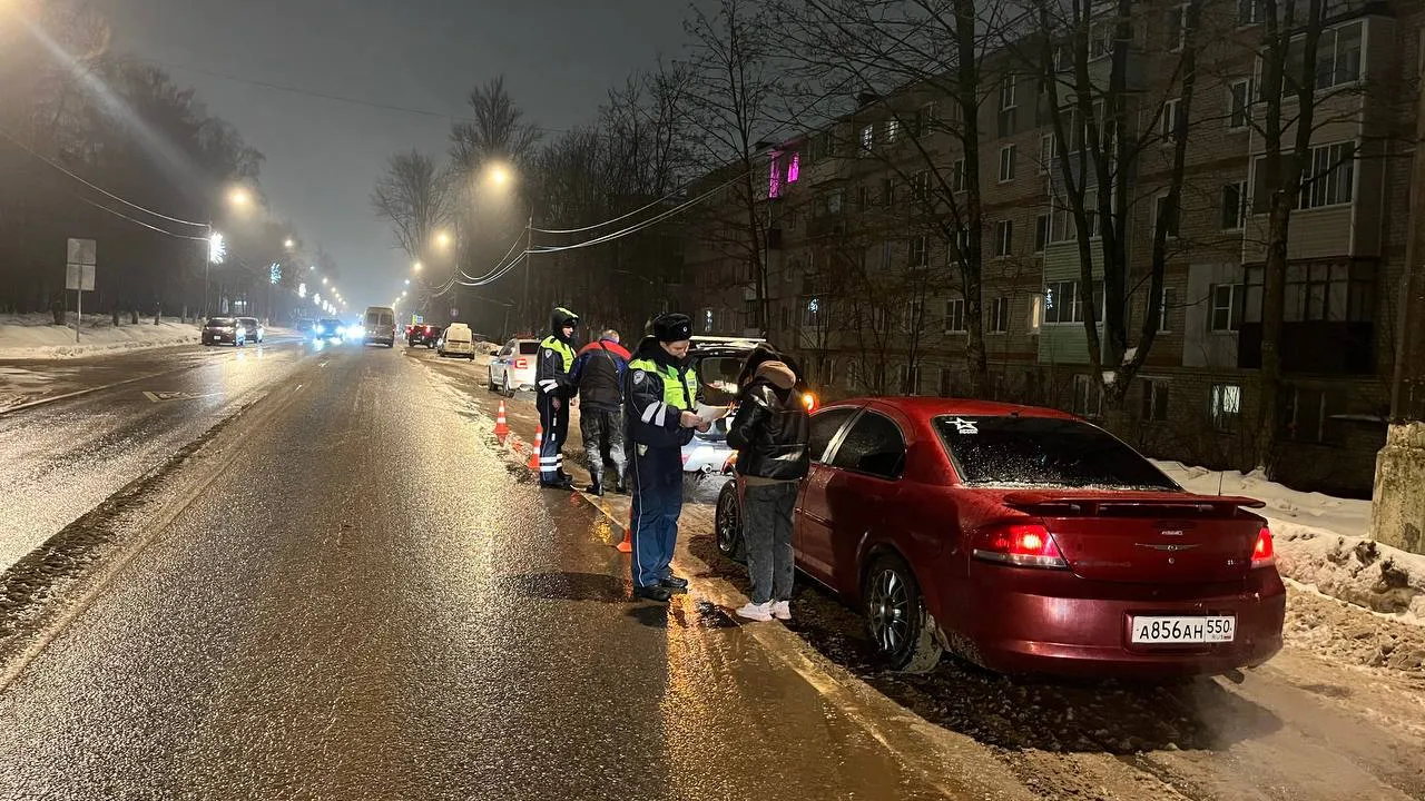 Фото: Госавтоинспекция по Московской области