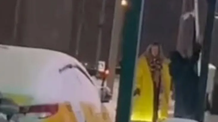 Момент разгрома шлагбаума. Скриншот из ТГ-канала «Видный город»