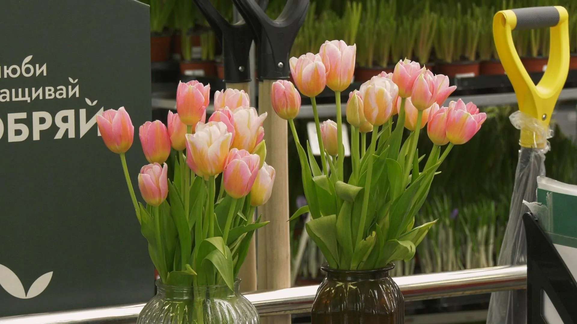 МедиаБанк Подмосковья/Юлия Андросова